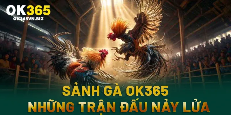 Các ý chính về sảnh cược đá gà ok365